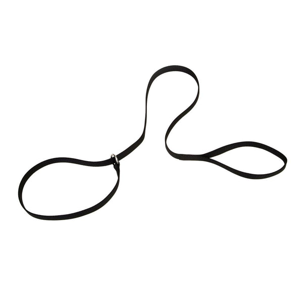 Coastal Kennel Dog Leash, Black