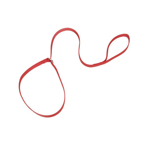 Coastal Kennel Dog Leash, Red