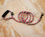 Timberwolf Laisse Alpine pour chien, Rose