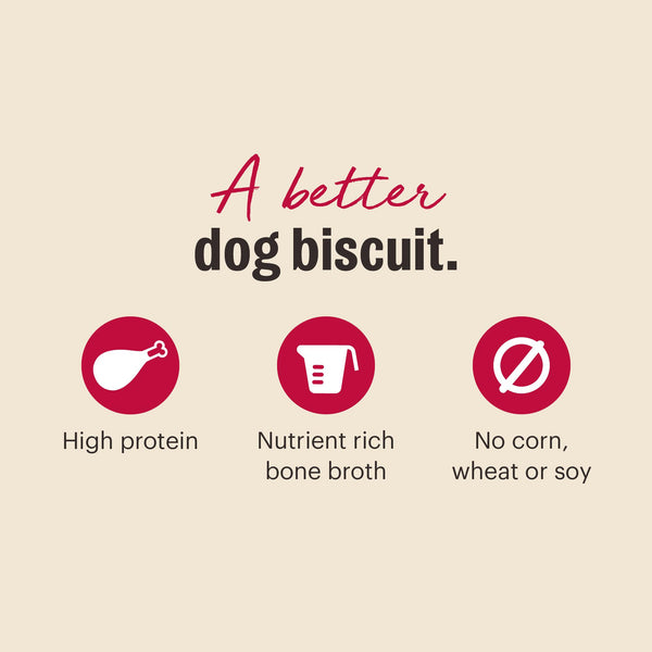 The Honest Kitchen Bone Broth Bites Turkey Dog Treats