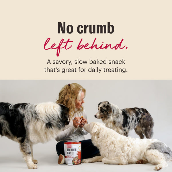 The Honest Kitchen Bone Broth Bites Turkey Dog Treats