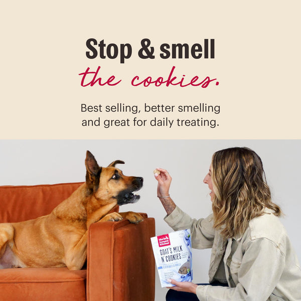 The Honest Kitchen Goat's Milk N' Cookies Blueberries & Vanilla Dog Treats