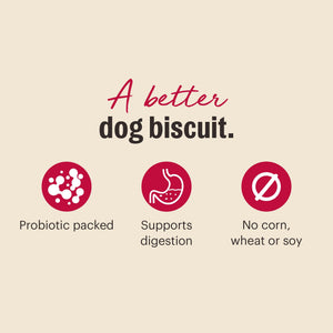 The Honest Kitchen Goat's Milk N' Cookies Peanut Butter & Honey Dog Treats