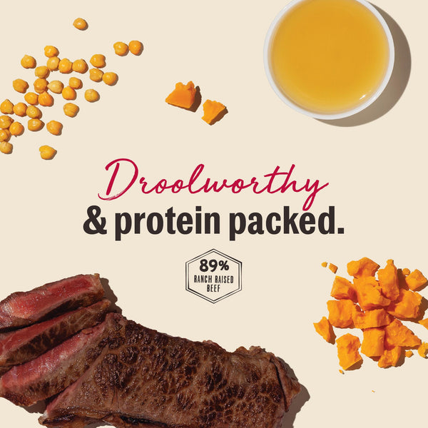The Honest Kitchen Gourmet Barbecue Liver Chips Beef Liver & Cheddar Dog Treats