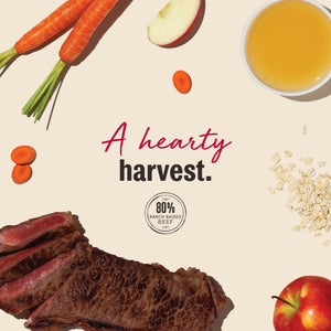 The Honest Kitchen Harvest Mini Bars Beef Jerky Dog Treats