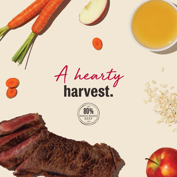 The Honest Kitchen Harvest Mini Bars Beef Jerky Dog Treats