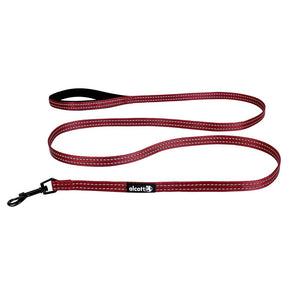 Alcott Adventure Laisse pour chien, Rouge