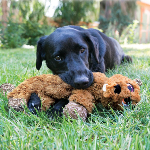 KONG Low Stuffed Flopzie Beaver Dog Toy