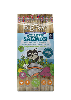 Little BigPaw Atlantic Salmon Adult Dry Cat Food