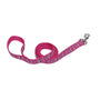 Ribbon Dog Leash, Pink Flamingo Stripe