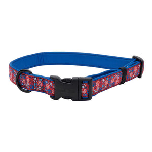 Ribbon Weave Dog Collar, Red & Blue Paws