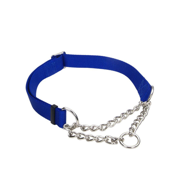 Coastal Collier d'entraînement ajustable à cliquet pour chiens, Bleu
