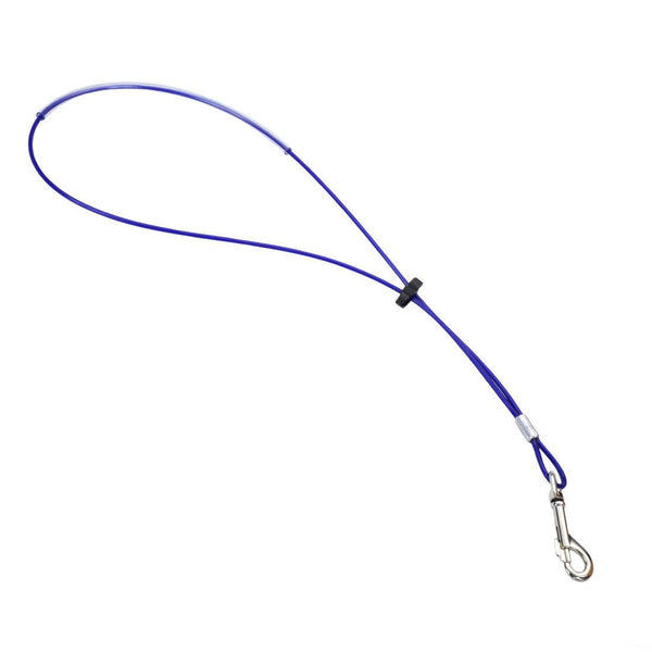 Titan Cable Dog Grooming Loop, Blue