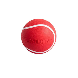 Playology Squeaky Chew Ball Beef Scented Dog Toy