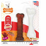 Nylabone Durachew Twin Pack Beef Jerky & Chicken Dog Toy, 2-pk