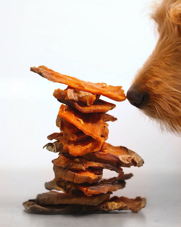 Healthybud Pure Sweet Potato Chew Dog Treats