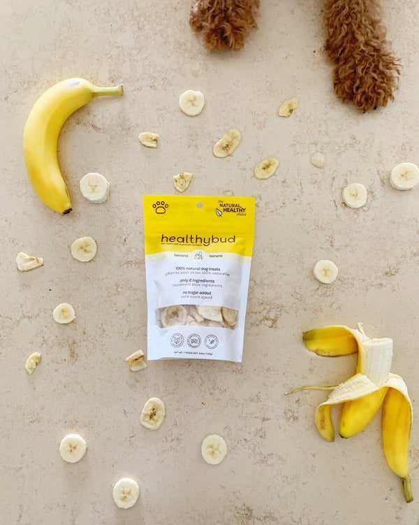 Healthybud Friandises pour chiens croustillantes à la banane