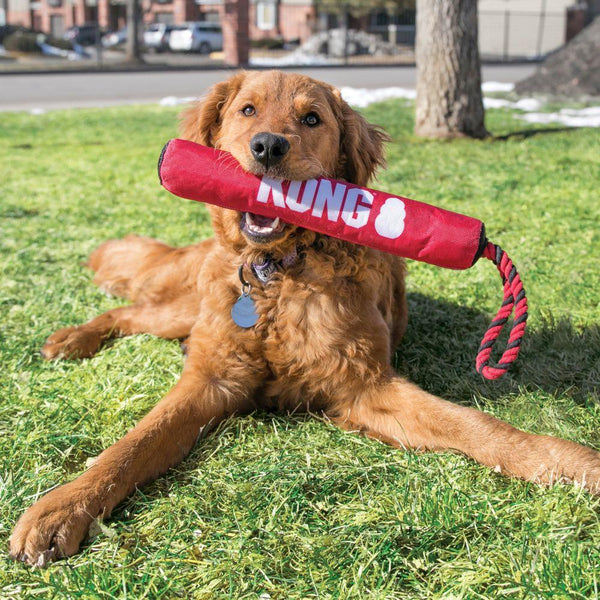KONG Signature Stick avec jouet pour chien en corde
