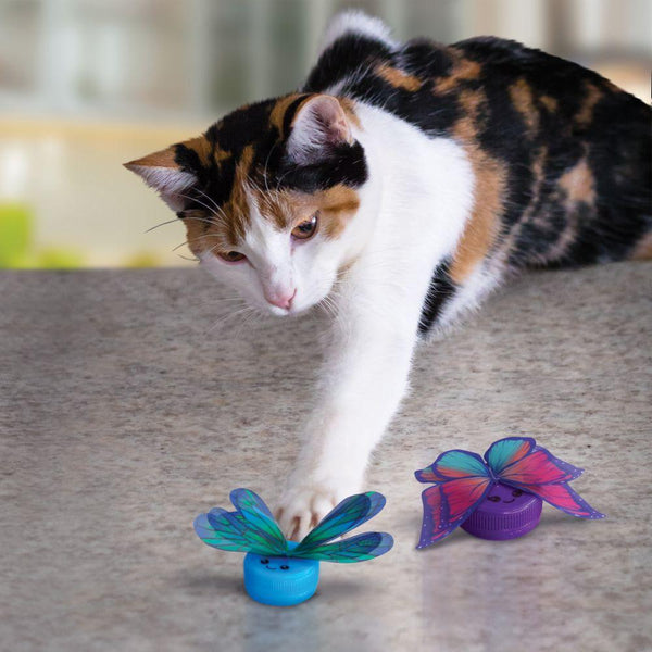 KONG Active Capz Cat Toy