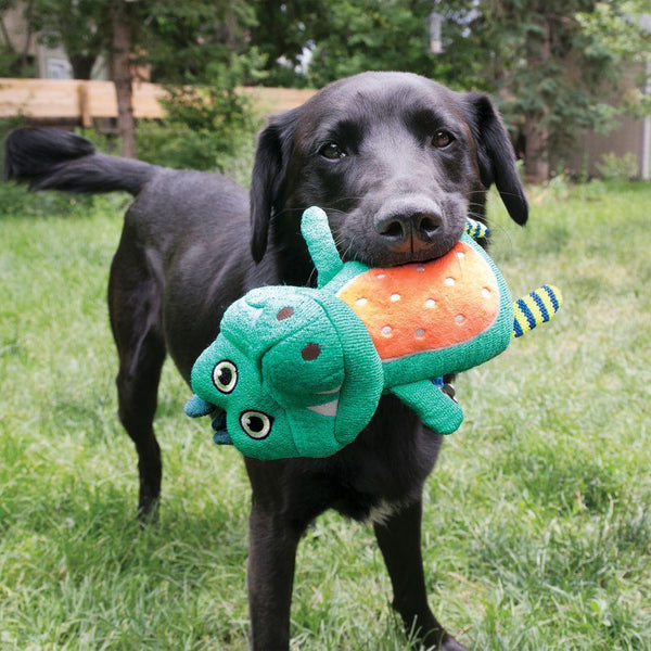 KONG Whoopz Gator Jouet pour chien