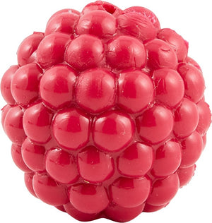 Planet Dog Orbee-Tuff Raspberry with Treat Spot Dog Toy