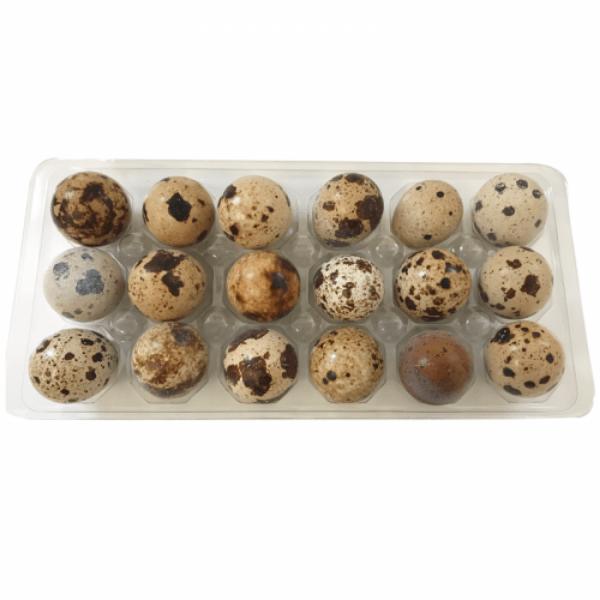 Big Country Raw Frozen Quail Eggs Frozen Dog & Cat Treats