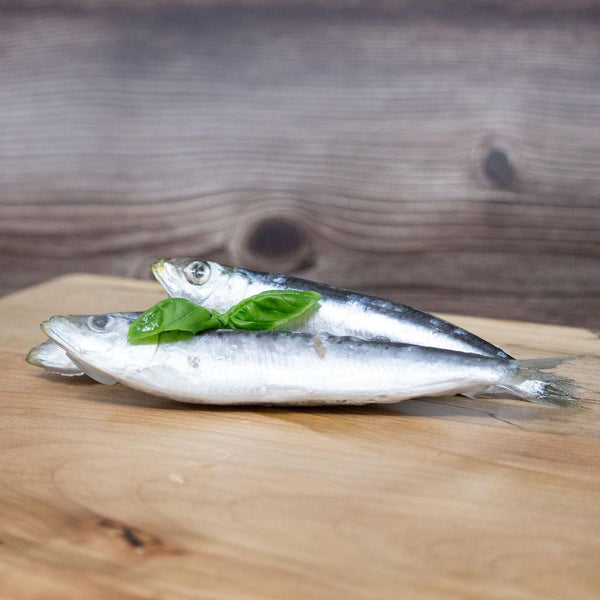 Big Country Raw Whole Sardines Frozen Dog & Cat Treats