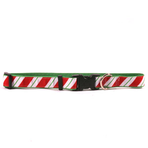 Yellow Dog Design Dog Collar, Peppermint