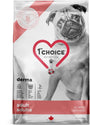 1st Choice Nutrition Derma Saumon Nourriture sèche pour chiens