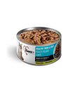 1st Choice Nutrition Healthy Skin & Coat Salmon Pate Wet Cat Food