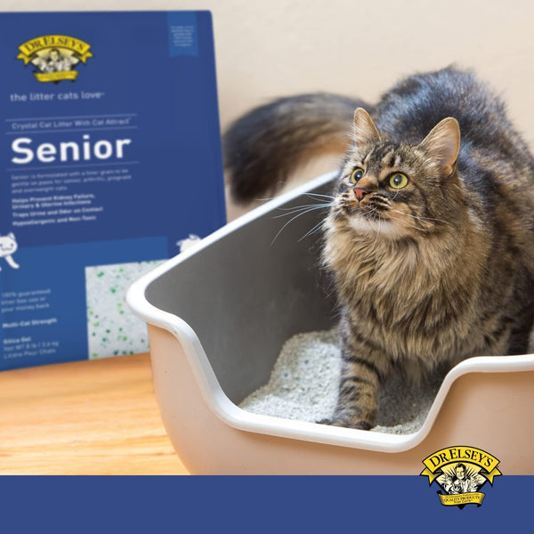 Dr. Elsey's Litière Precious Cat Senior, 8-lb