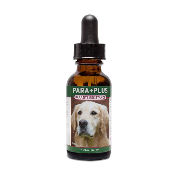 Riva's Remedies Teinture Para+Plus pour chiens
