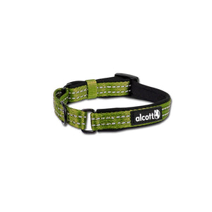 Alcott Martingale Dog Collar, Green