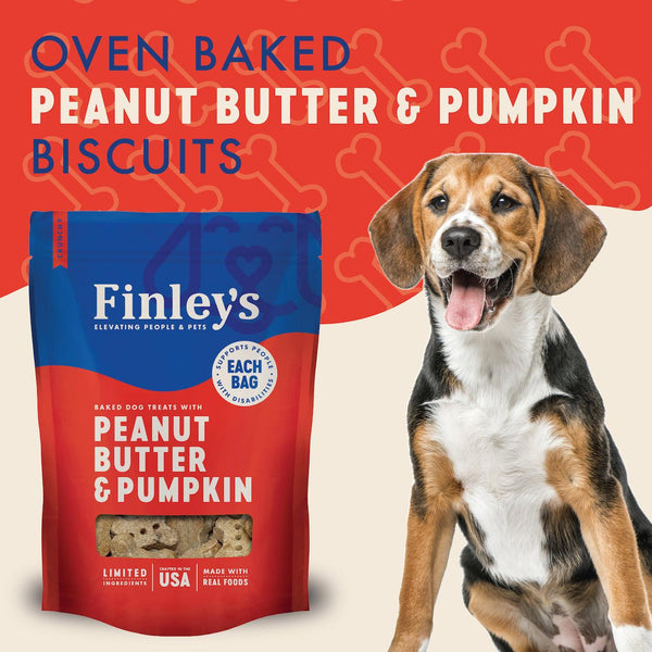 Finley's Friandises croquantes au beurre de cacahuète et à la citrouille pour chiens