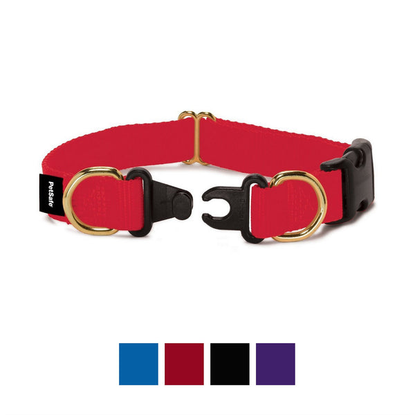 PetSafe Keep Safe Break-Away Dog Collar