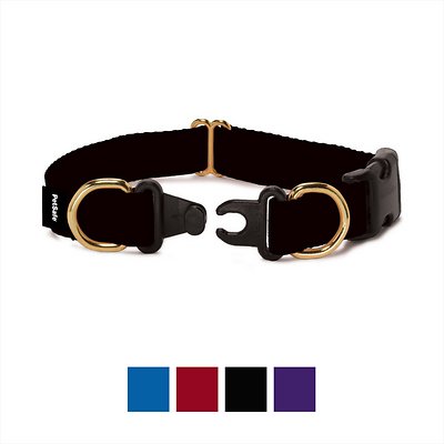 PetSafe Keep Safe Break-Away Dog Collar