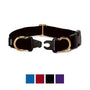 PetSafe Keep Safe Break-Away Dog Collar