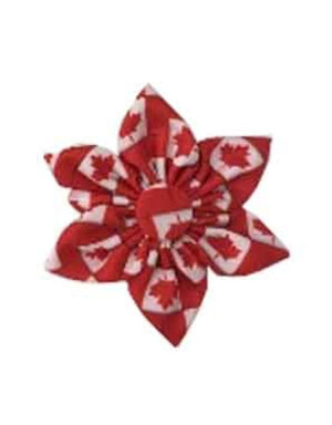 Huxley & Kent Pet Pinwheel, O Canada Red/White