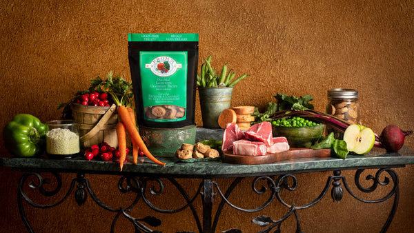 Fromm Four-Star Nutritionals Lamb with Cranberry Dog Treats