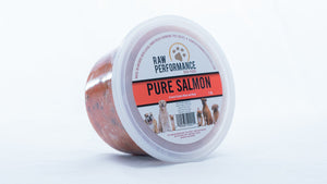 Raw Performance Pure Salmon Dog Food