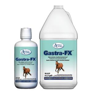 Omega Alpha Gastra-FX, 1-L