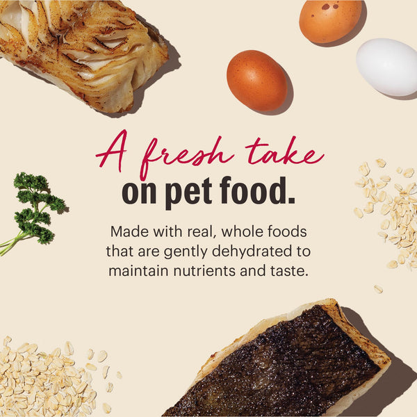The Honest Kitchen Fish & Oat Whole Grain Dehydrated Dog Food