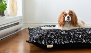 BeOneBreed Coussin Nuage pour chiens, Botanique
