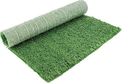 PetSafe Pet Loo Gazon Synthétique