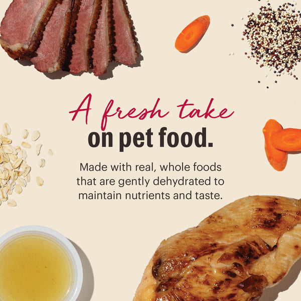 The Honest Kitchen Chicken & Duck Gourmet Grains Dehydrated Dog Food