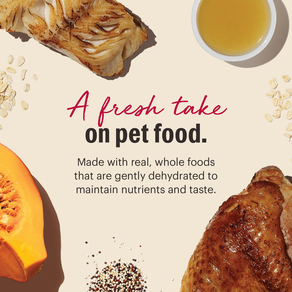 The Honest Kitchen Turkey & Fish Gourmet Grains Dehydrated Dog Food