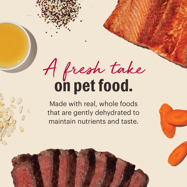 The Honest Kitchen Beef & Salmon Gourmet Grains Dehydrated Dog Food