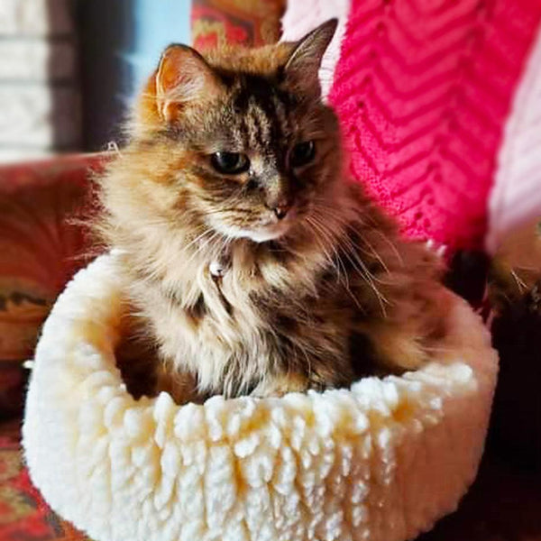 HuggleHounds HuggleFleece HuggleSnuggler Dog & Cat Bed
