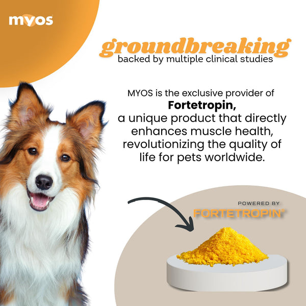 MYOS Formule musculaire canine Supplément pour chiens