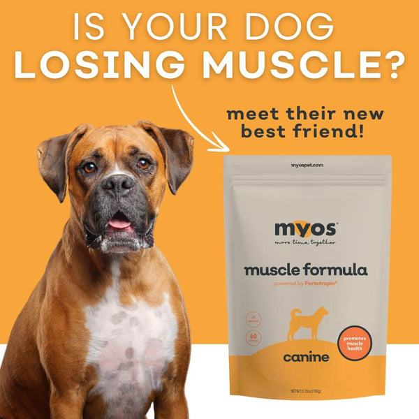 MYOS Formule musculaire canine Supplément pour chiens